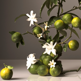 Jardin Mamzelle Eau de Parfum