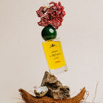 Corail - Perfume bottle with flowers and rocks on a neutral background