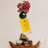Corail - Perfume bottle with flowers and rocks on a neutral background