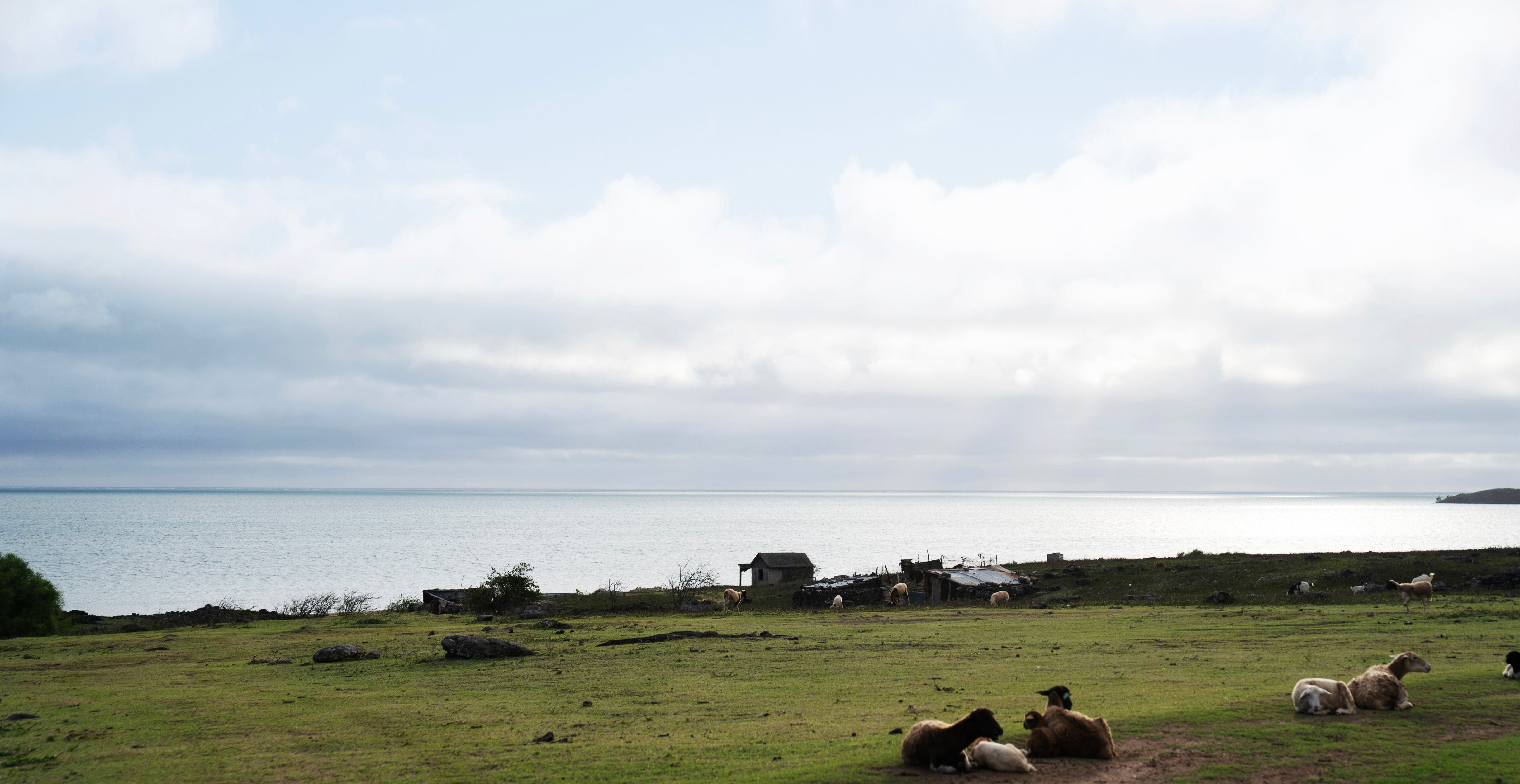 "These Fragrances Have a Soul, They Tell the Story of a Land."