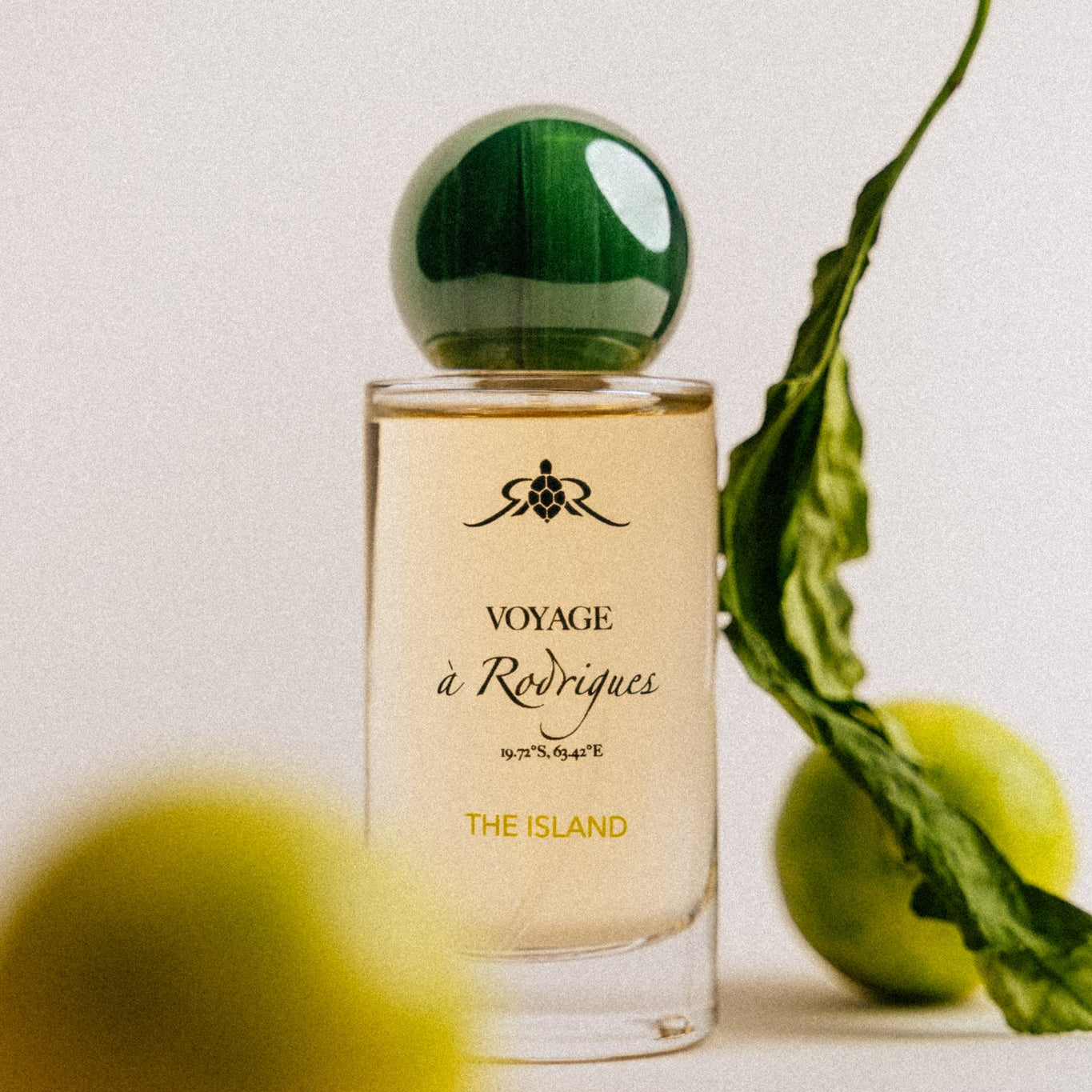 The Island - Eaux de parfums - Perfume bottle labeled 'Voyage a Rodrigues' with green leaves on a light background