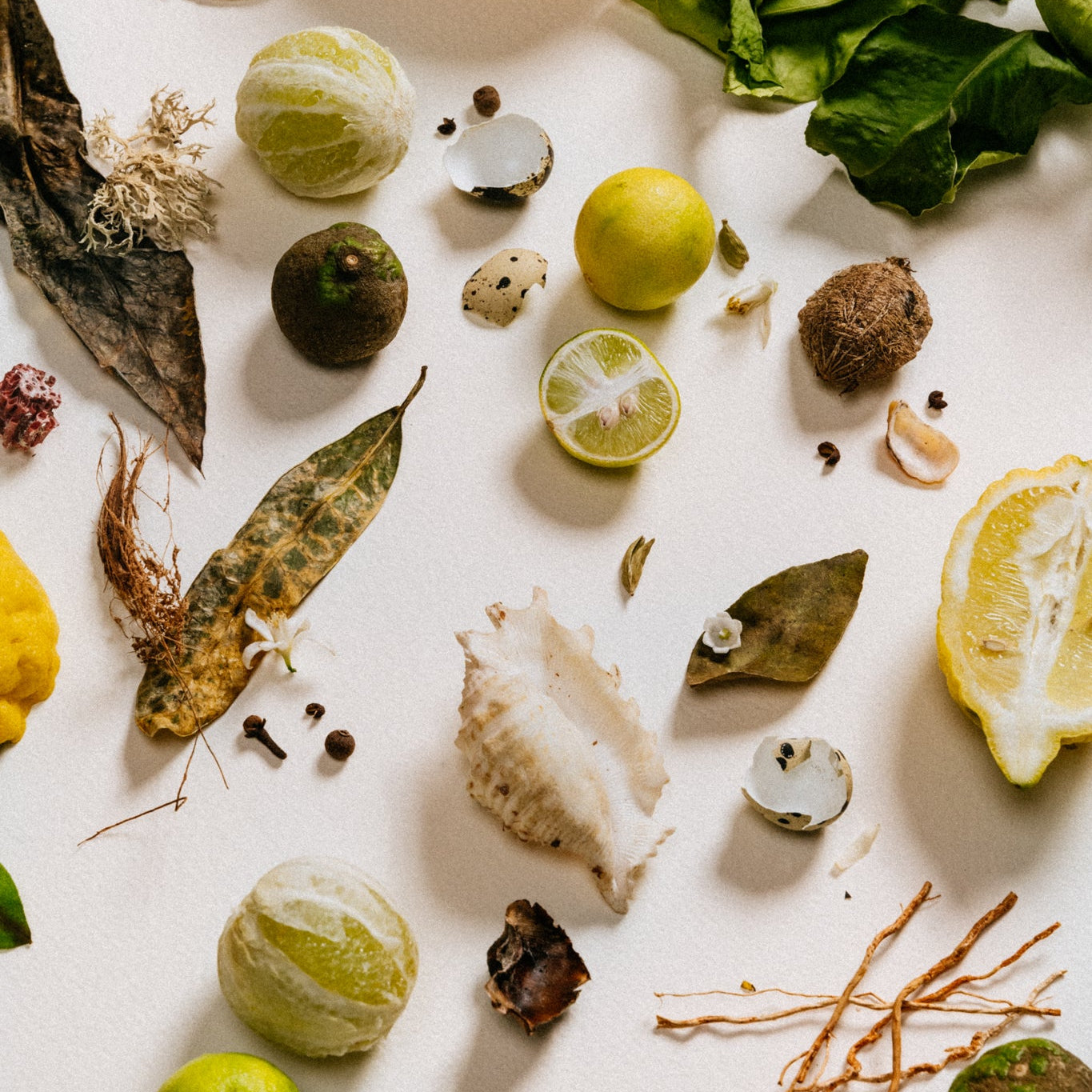 The Island - Eaux de parfums  Mature and decaying fruits and vegetables on a white background
